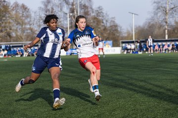 Bild 348 - wBJ Hamburger SV - Hertha BSC : Ergebnis: 2:1